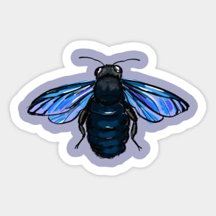 violet carpenter bee Sticker